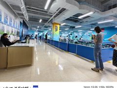 -中国宋庆龄青少年科技文化交流中心