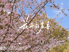 -东湖生态旅游风景区