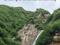 -王顺山国家森林公园