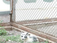 -大青山野生动物园