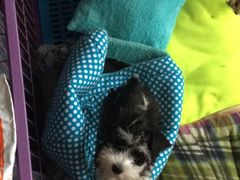 -惠康宠物医院(华能路店)