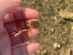 -青岛石老人海水浴场