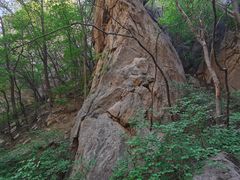 -大岭沟猕猴桃谷风景区