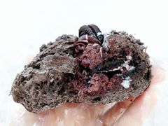 奥利奥魔法棒-奈雪的茶(印象城店)