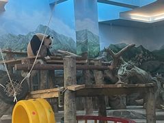 -武汉动物园