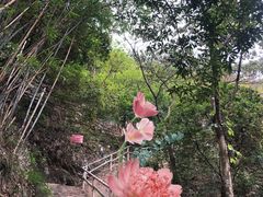 -牛鱼嘴原始生态风景区