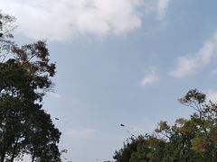 -七彩云南第壹城