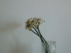 -纽巷咖啡 SOFTFOCUS COFFEE(锦和巴黎时韵店)