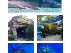 -横店影视城梦幻谷园区