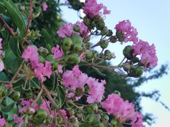 -八一南昌起义纪念塔