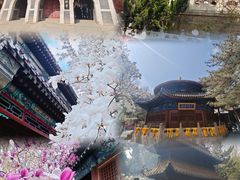 -潭柘寺景区