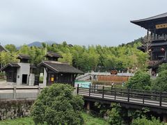 -大唐贡茶院