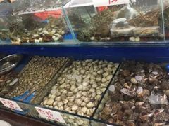 -张树军海鲜(王府壹号店)