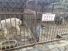 -河北村民俗体验园