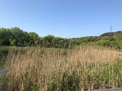 -西湖风景区-江洋畈生态公园
