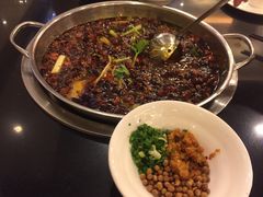 -川道拐耗儿鱼(旗舰店)