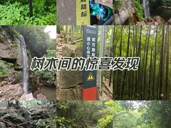 -莫干山风景区