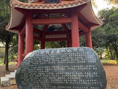 -三门江国家森林公园