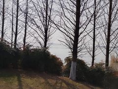 -苏州湾体育公园