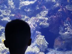 -厦门海底世界