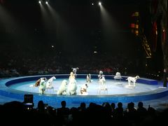 -珠海横琴长隆《卡卡虎奇遇记》