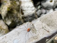 -龙苍沟森林公园