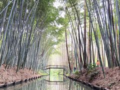-同里国家湿地公园