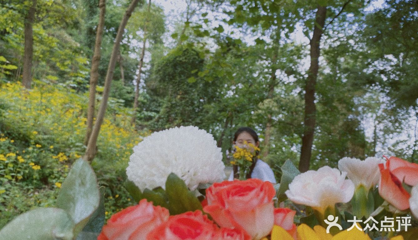 重庆周边游｜和小伙伴一起闯入漫画般的世界