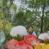 重庆周边游｜和小伙伴一起闯入漫画般的世界