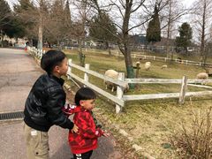-神户市立六甲山牧场