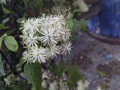 -桂林米粉店(广厦新城店)