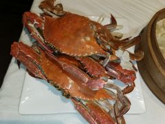 -渔民船说·北塘海鲜·天津菜·海肠捞饭(北塘古镇店)