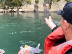 -九曲溪竹筏码头