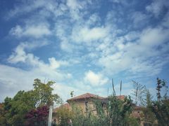 -上海崇明金茂凯悦酒店