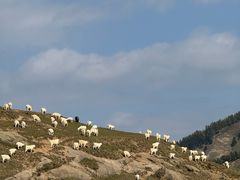 -芦芽山旅游度假区
