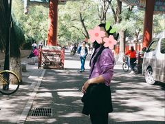 -北京国子监胡同