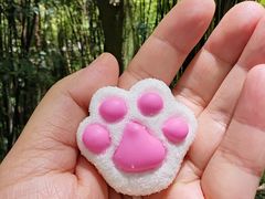 -都江堰中华大熊猫苑