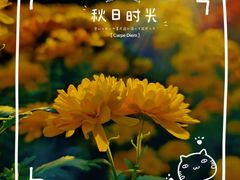 -国家植物园