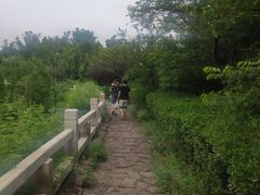 -黄河小浪底水利枢纽风景区