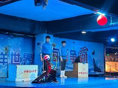 -邯郸海洋世界