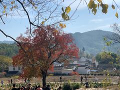 -塔川景区