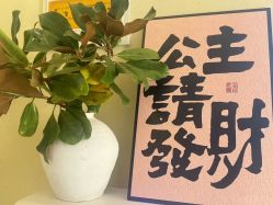 -乐室LE SPACE·美学疗愈空间