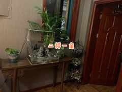 -莱蔻·圣灸堂·推拿艾灸(天山店)