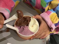 -Dip in Gelato(富民路店)