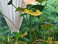 -观宴·品质赣菜(高新大道店)