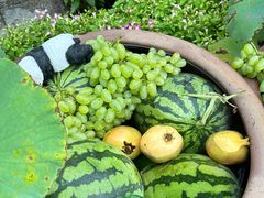 -赵美丽·重庆社区火锅·直营店(火车东站·中豪国际店)