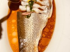 清蒸白水鱼-醉庐·新上海菜(南京西路店)