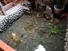 -三道苗苗鱼·美蛙黄辣丁(八里店)