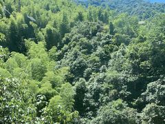 -将军关探险漂流