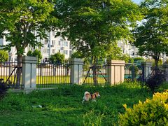 -上海市松江区九里亭外国语实验学校
